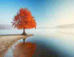 php个‌人‌网​站‌源‍码﻿